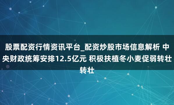 股票配资行情资讯平台_配资炒股市场信息解析 中央财政统筹安排12.5亿元 积极扶植冬小麦促弱转壮